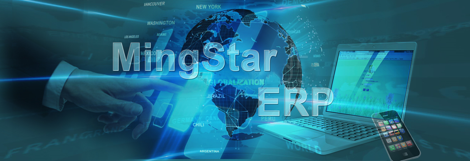 MingStar ERP
