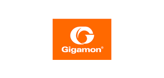 宜眾合作夥伴Gigamon