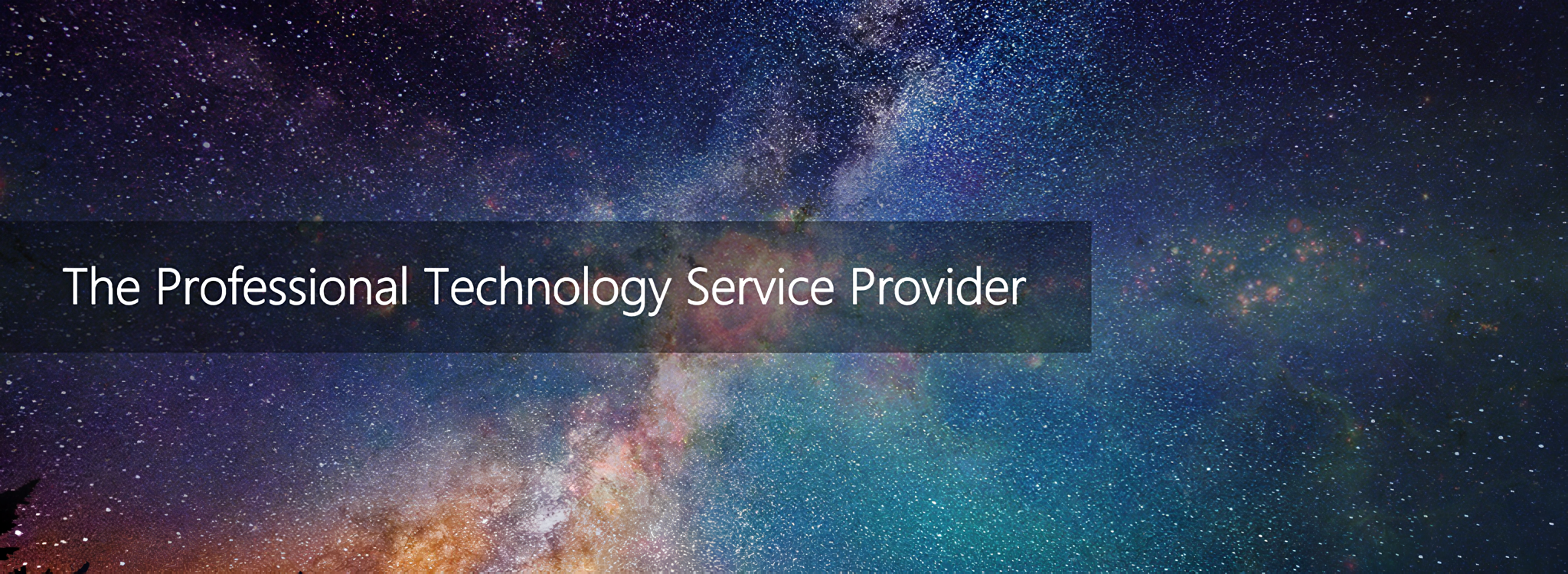The Professional Technology Service Provider